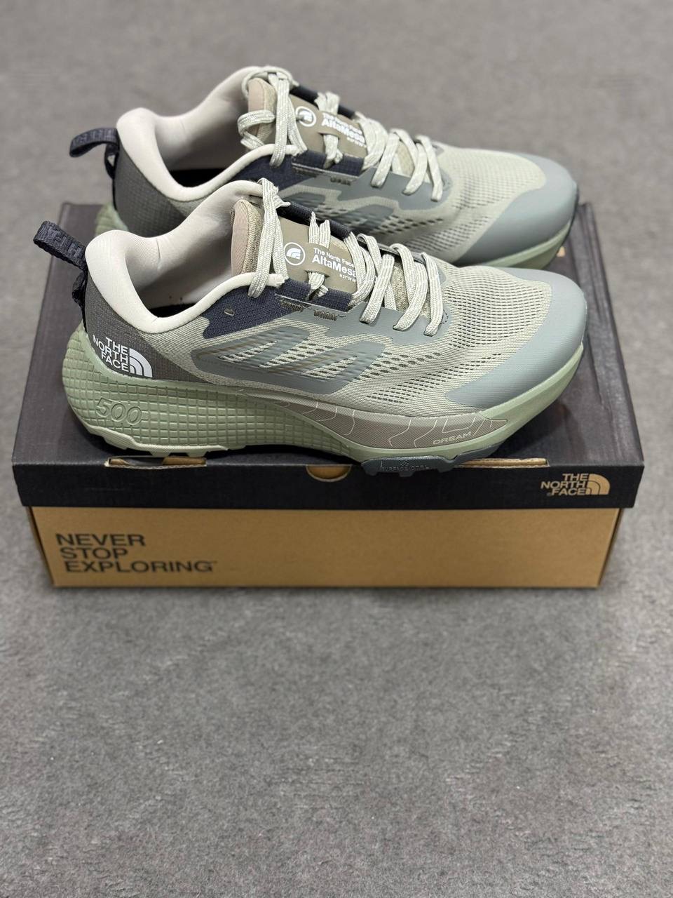 کتونی نورث فیس Altamesa 500 | The North Face